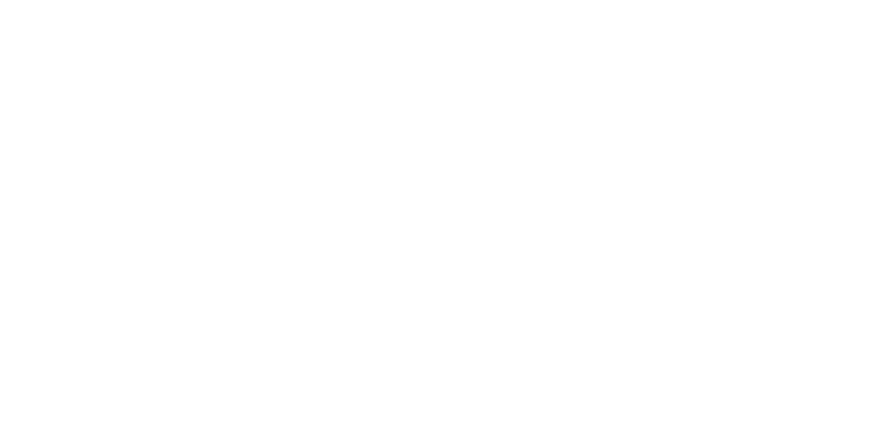 Baga Solutions